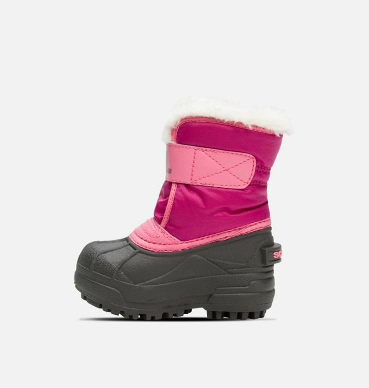 Sorel Toddler Commander™ - Kids Snow Boots Pink/Black - 532461UBE